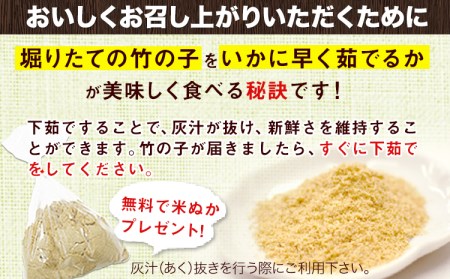 【2025年3月先行予約】熊本県 御船町 掘りたて たけのこ 4kg タケノコ 竹の子 冷蔵 ギフト グルメ 野菜 お祝い 春 筍《2025年3月上旬-4月下旬頃出荷》 有限会社ニシムラ