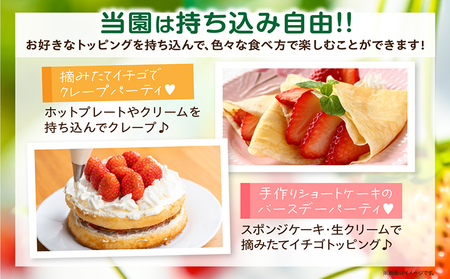 4種類のいちごが50分食べ放題！！いちご狩り体験（OPEN～3月末）【大人2名】 苺 いちご狩り 苺狩り 体験 あきひめ 紅ほっぺ ゆめのか よつぼし トッピング 持込可能 練乳 クレープ 子連れ 観