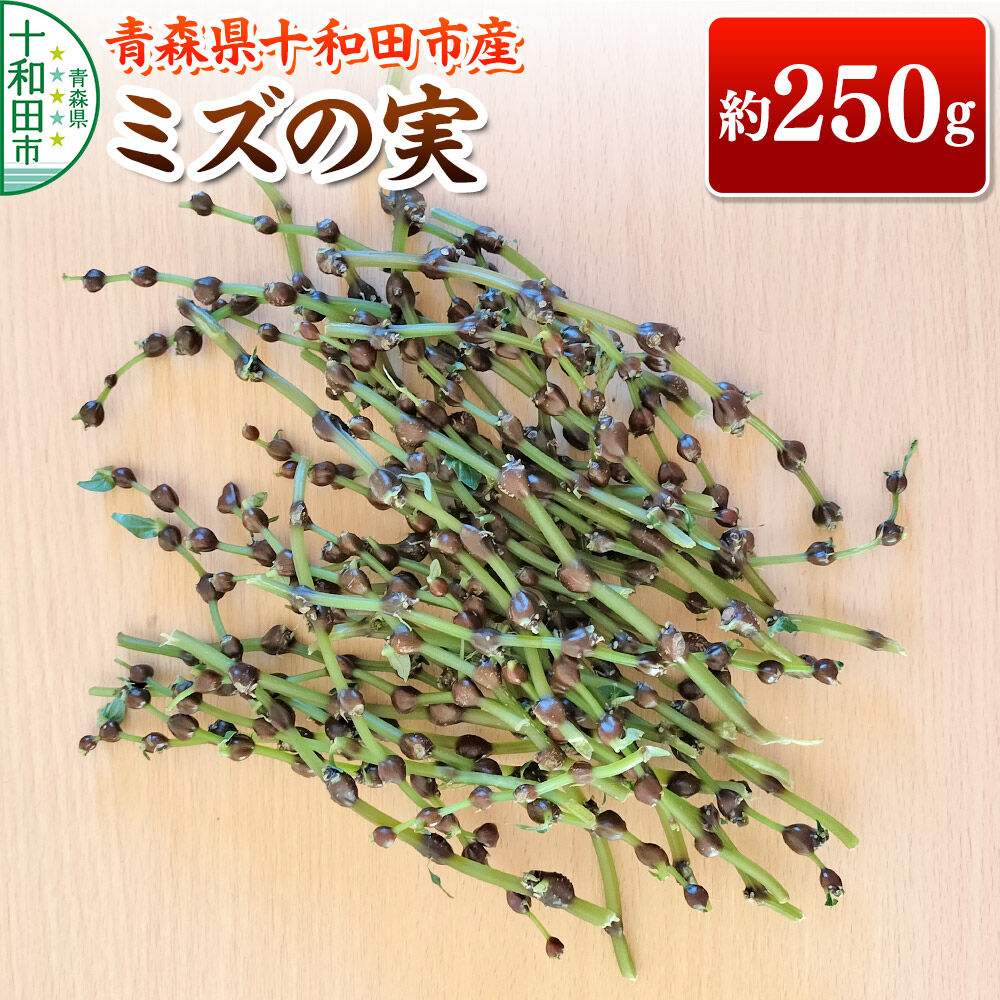 【ふるさと納税】【9月中旬発送・先行受付】山菜 ミズの実 約250g 青森県十和田市産 [旬のもの 山菜 秋 むかご みずの実 稀少]