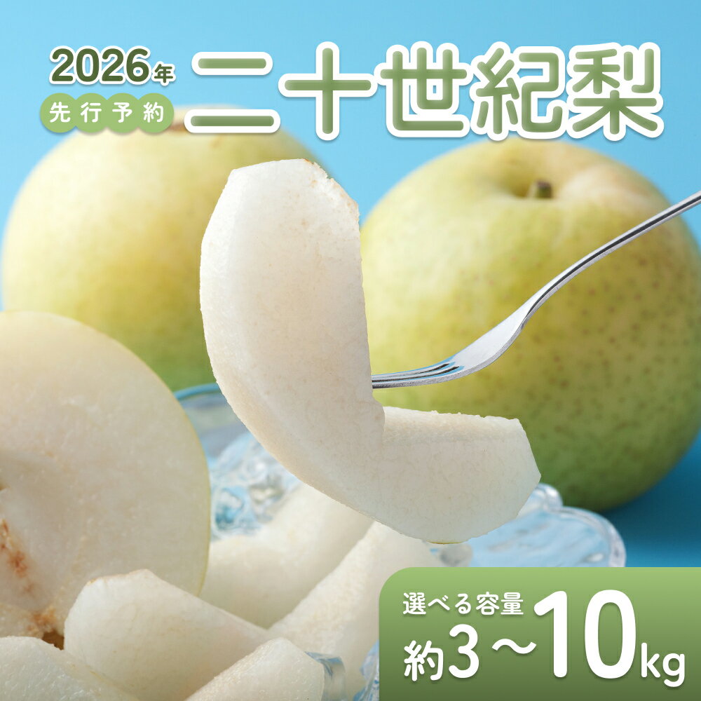 【ふるさと納税】【2026年 先行予約】二十世紀梨 3～10kg｜鳥取 東光園 梨 2026年収穫後 2026年8月下旬～9月頃順次発送※着日指定不可