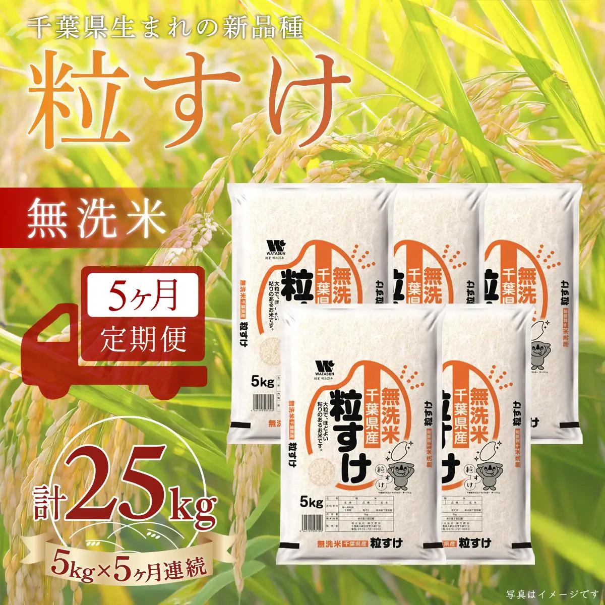 ＜5か月定期便＞ 千葉県産「粒すけ」無洗米 5kg×5か月連続 計25kg A093