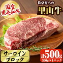 【ふるさと納税】国産黒毛和牛 牧草育ちの里山牛 サーロインブロック 500g！ 黒毛和牛 和牛 肉 牛肉 国産 サーロイン ブロック 赤身 ステーキ【さかうえ】b1-015