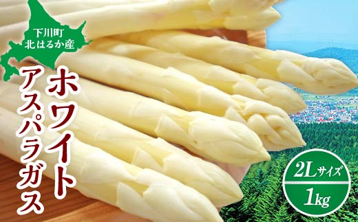 【先行予約】令和8年産 ホワイトアスパラガス（2Lサイズ） 1kg アスパラ 野菜 やさい ふるさと 納税 国産 北海道産 北海道 下川町 F4G-0338
