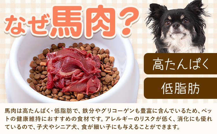【6ヶ月定期便】ペット用馬肉 1kg × 6回 計6kg 五右衛門フーズ《申込月の翌月から出荷開始》 ペット用 犬用 肉 馬肉 熊本県 菊池市