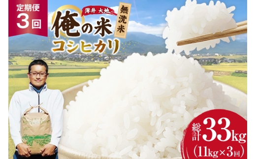 【俺の米】 米 定期便 3回 令和8年 コシヒカリ 無洗米 11kg 計 33kg [薄井 大地 長野県 池田町 48110942] お米 おこめ こめ コメ 白米 ご飯 ごはん 定期 3ヶ月  おにぎり こしひかり 美味しい もっちり 甘い 農家 直送 10キロ 30キロ 以上 令和8年産 先行予約 新米