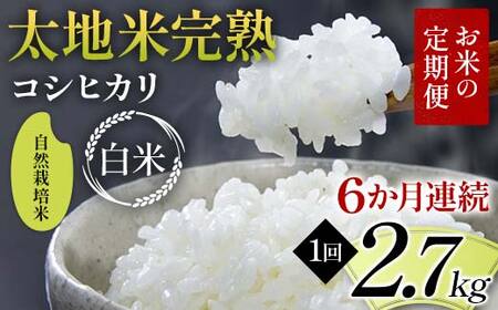 【先行予約】お米の定期便 自然栽培米 太地米完熟 【こしひかり】 白米2.7kg×6か月連続 ブランド米 お米 精米 白米 人気 F7X-0757