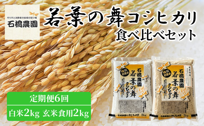 
米 若葉の舞 コシヒカリ 白米2Kg玄米食用2Kg 食べ比べセット 定期便6回 こしひかり お米 白米 玄米 セット 食べ比べ 定期便 精米 千葉 千葉県 低温保存 [№5346-0807]
