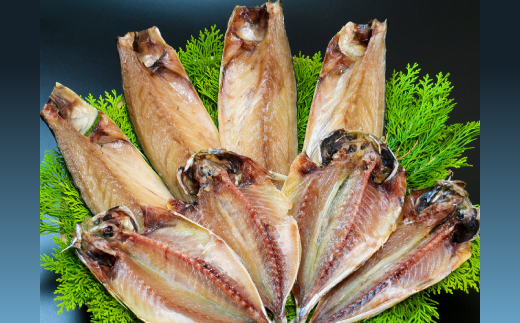 できたて干物!!あじ4枚・さば半身4枚【配送不可地域：離島】【1539829】