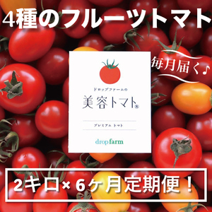 【6ヶ月定期便】【11月より順次発送】ドロップファームの美容トマトおまかせ2kg箱(４種ミックス)（CK-21）
