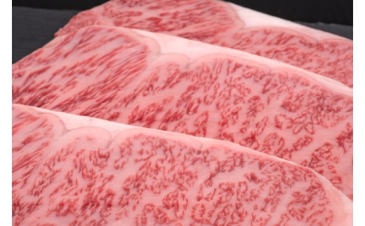肉 博多和牛 サーロインステーキ 200g 2枚 計 400g 6回 定期便 総計 2.4kg [久田精肉店 福岡県 宇美町 um40bsi440033] 牛 牛肉 サーロイン ステーキ 和牛 ソース