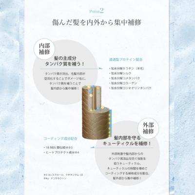 ふるさと納税 四万十市 【3回定期便】サロン・ド・オーデ ハイドロリペア シャンプー&トリートメント　2点セット |  | 02