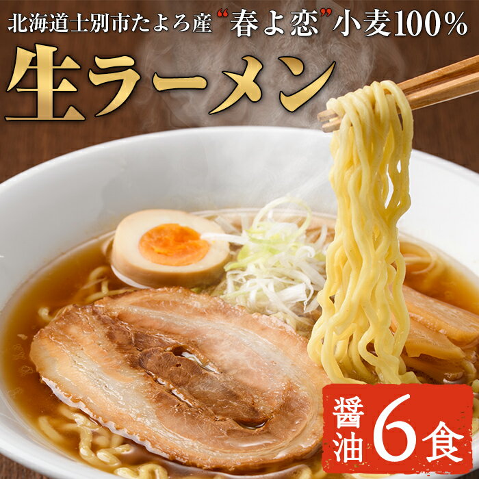 【ふるさと納税】北海道士別市たよろ産「春よ恋」100％生ラーメン (6食) 拉麺 麺 小麦麺 生麺 醤油ラーメン 醤油味 冷凍 【合同会社人考研】