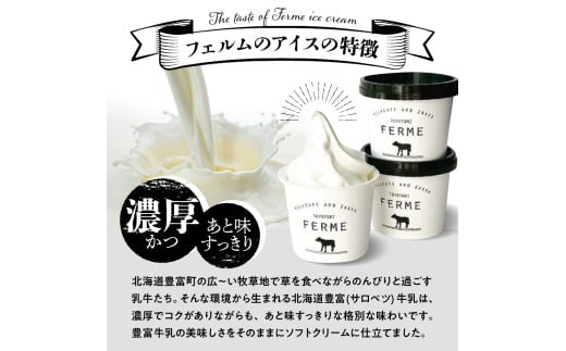 【2026年1月配送】とよとみ牛乳ソフトクリーム【120ml 3種類 計8個】