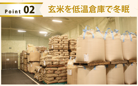 【無洗米】令和7年産 ふくい東郷米 有機JASコシヒカリ 3kg [A-020029_03] /  コシヒカリ