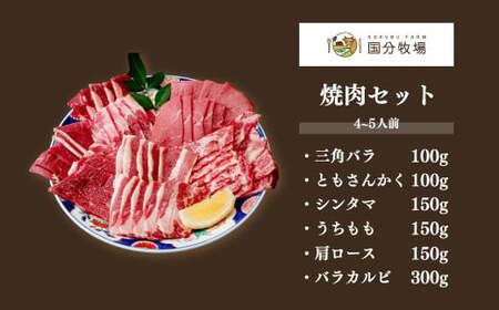 コエドビール 12本 & 牛焼き肉セット 950g (4~5人前)｜地ビール 国産牛