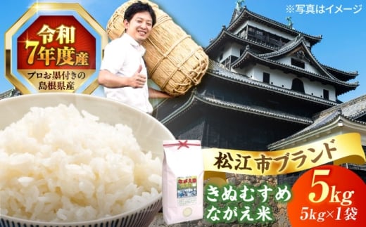 松江市産きぬむすめ「ながえ米」5kg(5kg×1) 島根県松江市/有限会社藤本米穀店 [ALCG015]