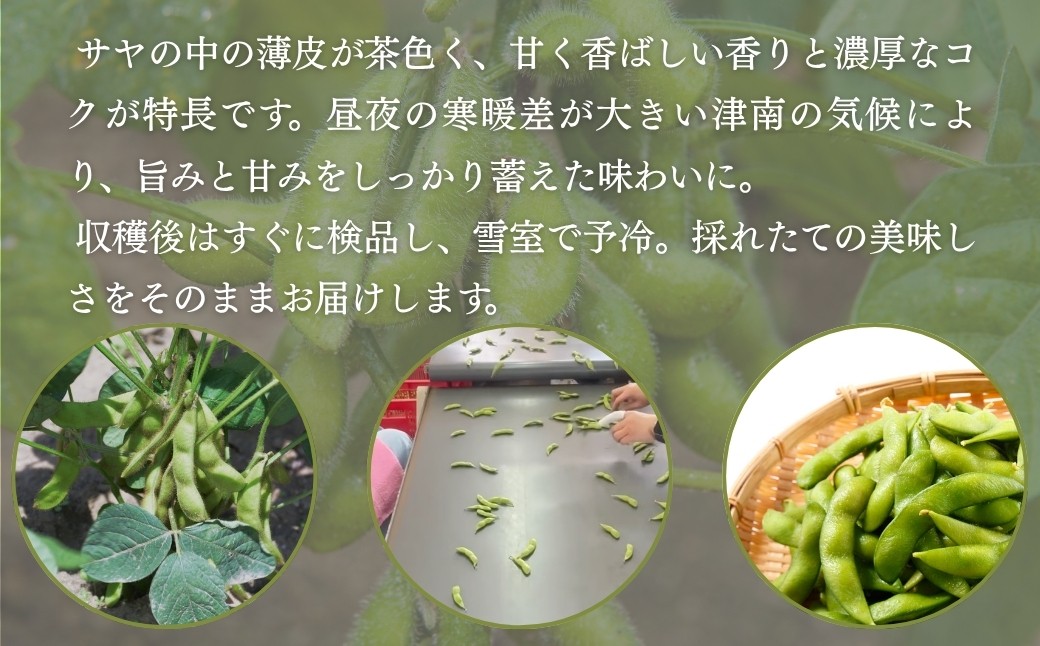 
                  【枝豆 先行予約】雪室予冷 津南高原茶豆 2kg（200g×10袋） | 枝豆 えだまめ まめ 野菜 おつまみ 茶豆 ずんだ ずんだもち 豆 採れたて 新鮮 旬 産地直送 津南町 有限会社大地
                