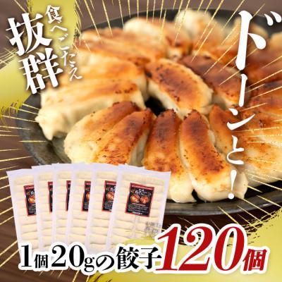 ふるさと納税 糸満市 沖縄高級ブランド豚 濃厚な肉汁が溢れる!美ら島あぐー餃子 20個入(400g)×6パック合計120個 |  | 01