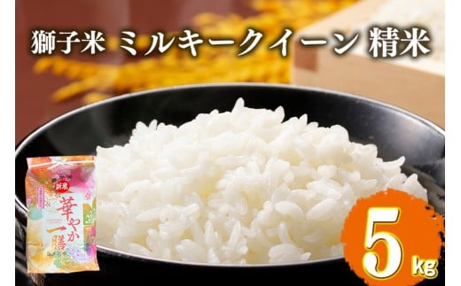 【1月発送】ミルキークイーン 精米 5kg お米 米 こめ コメ 精米 白米 ご飯 ごはん 茨城県 石岡市 B02-066