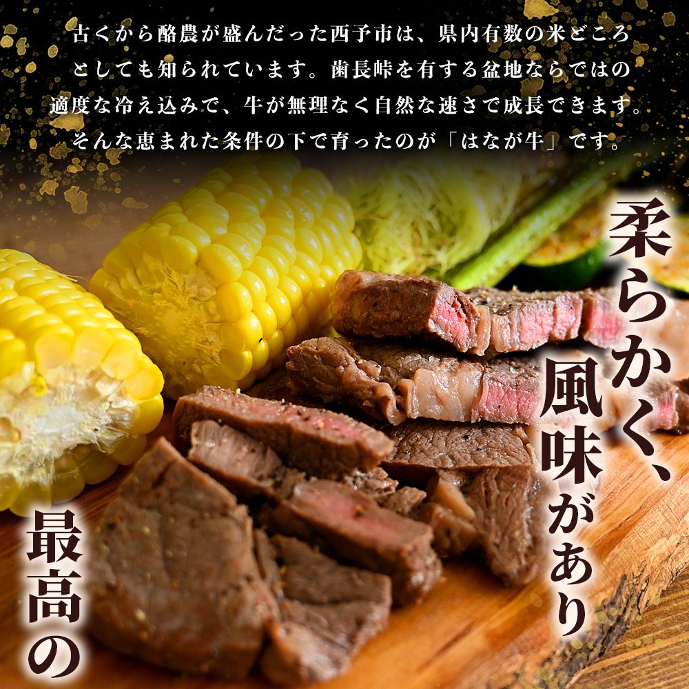 ＜熟成肉 はなが牛 ロースステーキ 3枚（1枚200g）＞ 牛肉 牛 肉 ろーすすてーき ステーキ サーロイン ブランド牛 鉄板焼き 焼き肉 焼肉 バーベキュー BBQ 国産 小分け 特産品 愛媛県 