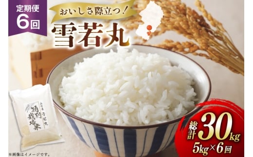 米 定期便 6回 令和7年 雪若丸 5kg 6回 計30kg [渡部ファーム 山形県 高畠町 tk06ays810048] お米 白米 精米 ごはん ご飯 ブランド米