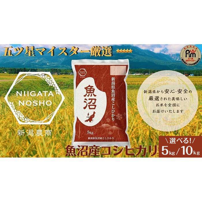 【ふるさと納税】五ッ星マイスター厳選　魚沼産コシヒカリ　5kg／10kg(5kg×2)