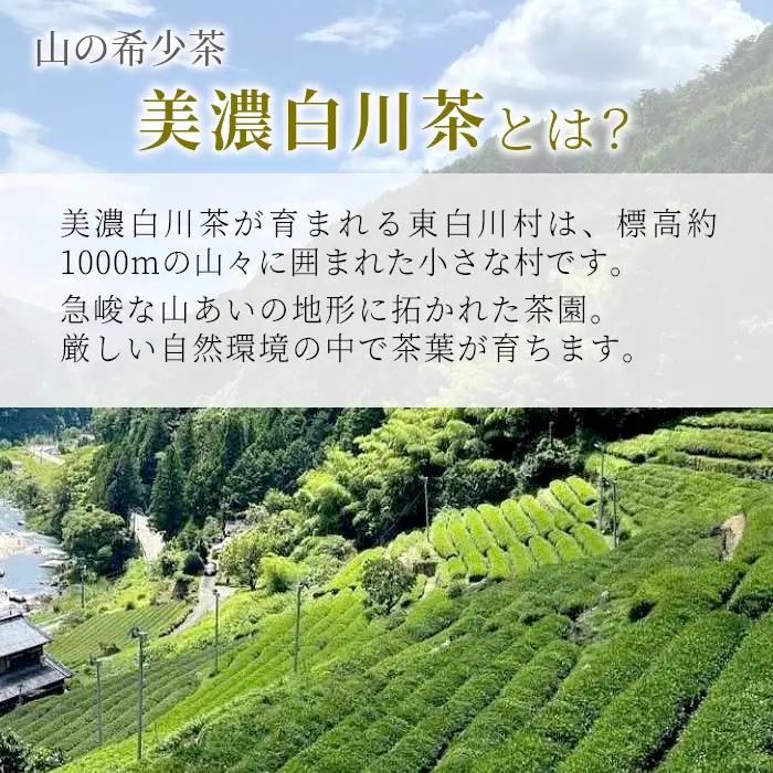 香り高い高級煎茶 「天籟-てんらい-」 70g 茶蔵園 日本茶 緑茶 煎茶 お茶 6000円