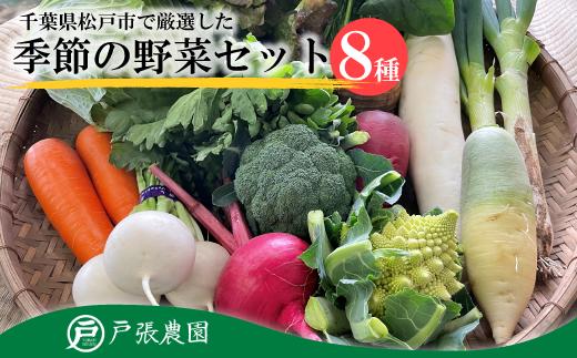 【戸張農園】厳選おまかせ野菜セット