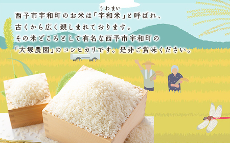 ＜愛媛県西予市産 コシヒカリ 10kg＞国産 愛媛県産 宇和町産 宇和米 こしひかり お米 米 コメ こめ 白米 精米 ご飯 新鮮 10kg 10キロ 選べる 特産品 大塚農園 愛媛県 西予市【常温】