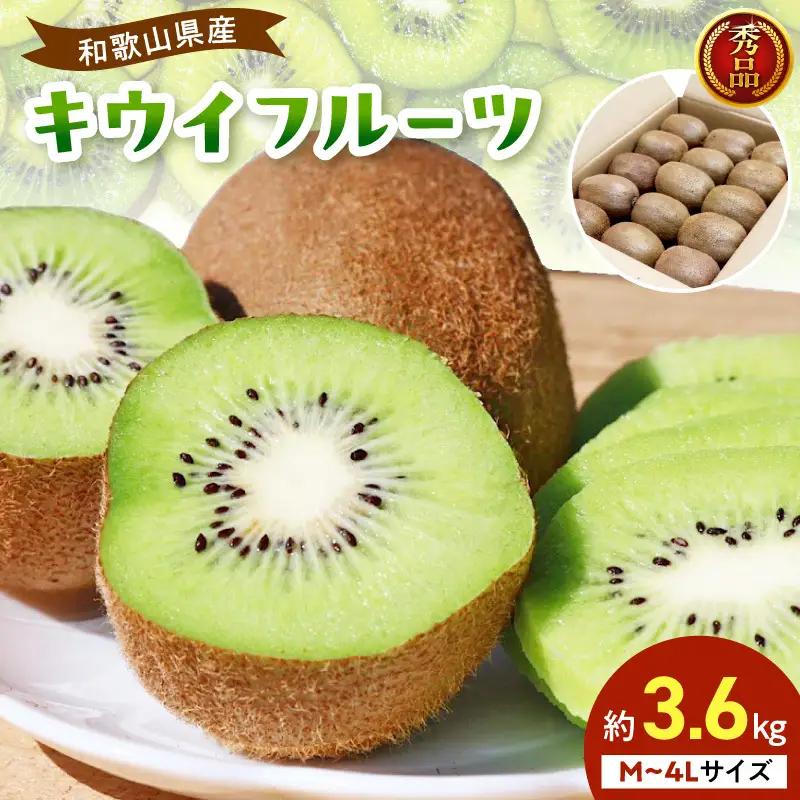 【2027年1月下旬から順次発送】和歌山産　キウイフルーツ　M～4Lサイズ　約3.6kg　秀品_BL6174