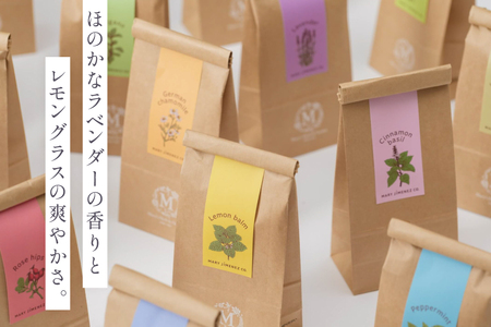 ハーブティー デイリーパック 薫風 10個入り