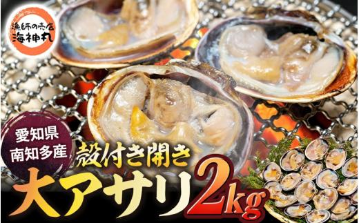 訳あり 大アサリ 2kg 愛知県 南知多町