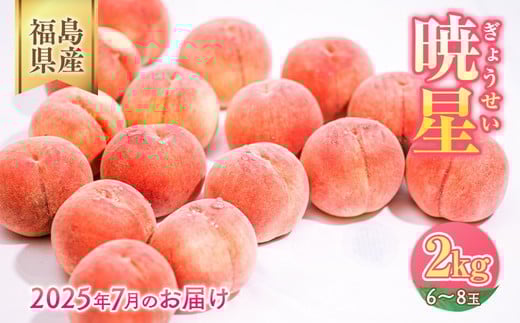 ◆2025年夏発送◆暁星～産直・桃・約2kg～ ｜ 先行予約 予約 数量限定 桃 もも モモ 果物 くだもの フルーツ 詰め合わせ 福島 ふくしま　※離島への配送不可　※2025年7月上旬～7月下旬頃に順次発送予定