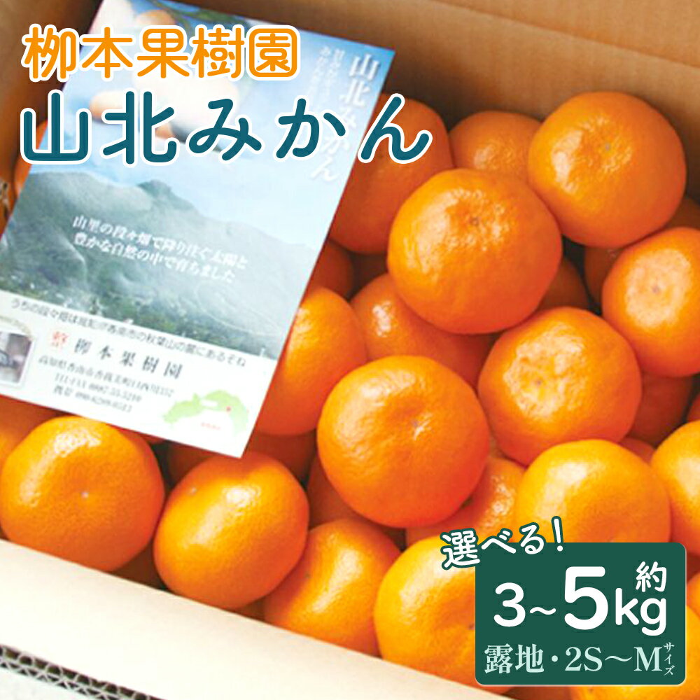 【ふるさと納税】【令和7年発送】柳本果樹園の山北みかん 約3kg（露地・2S〜Mサイズ）- 果物 フルーツ 柑橘類 温州みかん ミカン 蜜柑 甘い おいしい 送料無料 のし 贈り物 冬 期間限定 季節限定 数量限定 2025年出荷 高知県 香南市 yg-0006