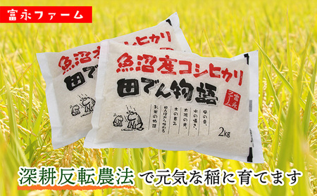 令和7年産 農家の手「田でん物語」魚沼産コシヒカリ（精米）4kg（2kg×2） お米 白米 ご飯 ブランド米 銘柄米 精米したて 新潟県産 直送 主食 炭水化物 