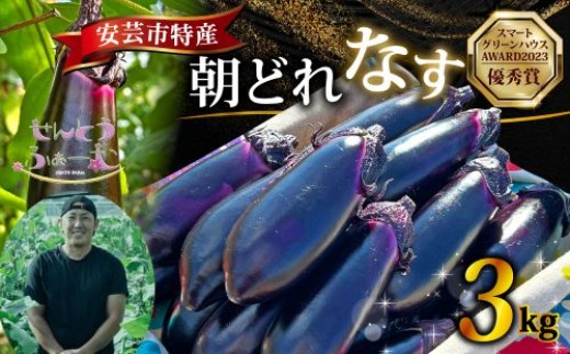 朝採れナス 3kg 茄子 ナス 国産 高知 農家直送 野菜 ベジタブル 新鮮 なす 薄皮 焼きナス 美容 健康 朝どれ 焼き肉 アウトドア BBQ 和食 洋食 中華 おかず なすび せんとうふぁーむ 42本程度 常温 栽培 農業 地産地消 旬 夏野菜 ヘルシー ビタミン ミネラル 食物繊維 ポリフェノール 料理 家庭菜園 レシピ 安芸市 高知県
