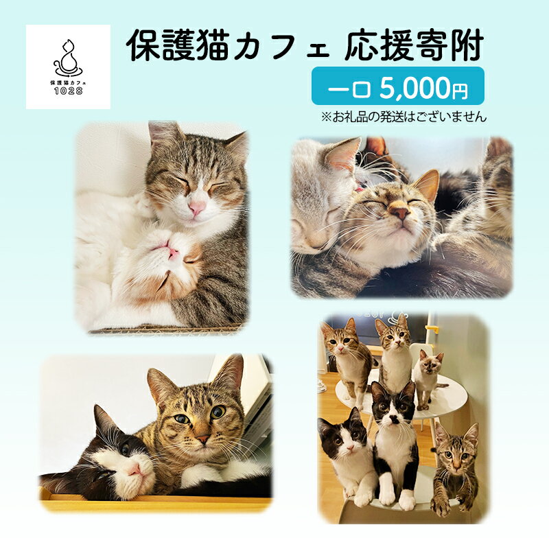 【ふるさと納税】5-998 保護猫カフェへの寄附 【お礼品の発送はございません】一口5,000円