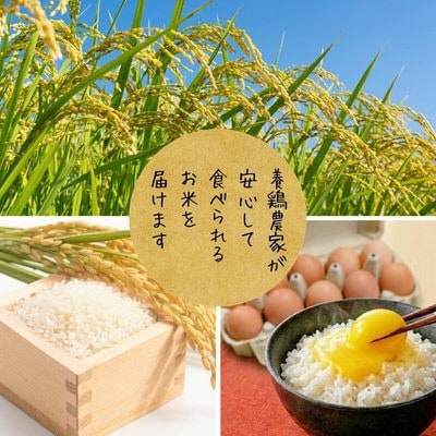 【コシヒカリ】京都府綾部産 白米「穂のまま。」精米5kg【1771120】