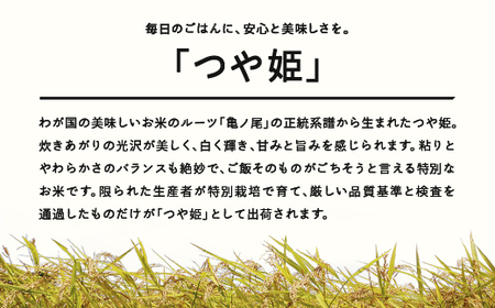 ＜先行予約＞ 新米 つや姫 精米 5kg 12月上旬〜12月中旬発送 配送時期選べる 令和7年産 2025年産 ※沖縄・離島への配送不可 tf-tssxb5-12f