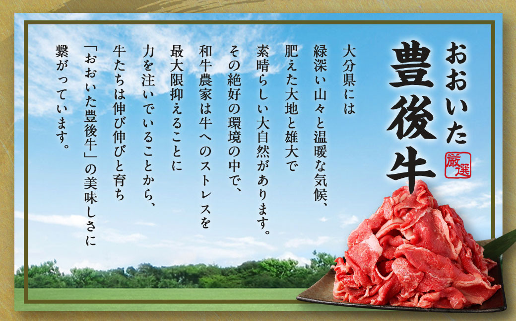 【豊後牛】切り落とし 1.2kg (600g×2) 焼肉 ステーキ 霜降り