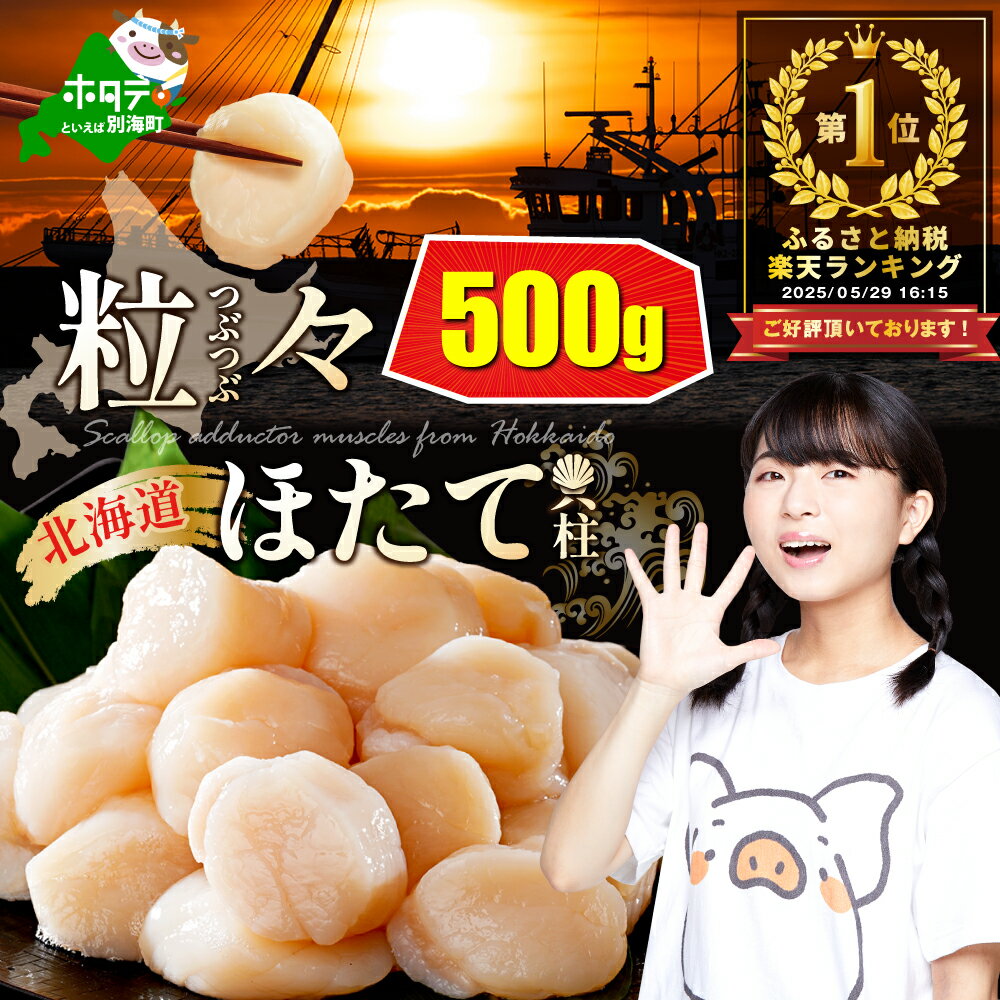 【ふるさと納税】高評価★4.8 ホタテ貝柱 500g 【 発送時期が選べる 】（ ふるさと納税 ホタテ 訳あり ふるさと納税 帆立 ホタテ貝柱 ふるさと納税 訳あり ふるさと 訳あり 刺身 冷凍 ほたて ホタテ 帆立 人気 ランキング わけあり 貝柱 貝 魚介 北海道 別海町 ）
