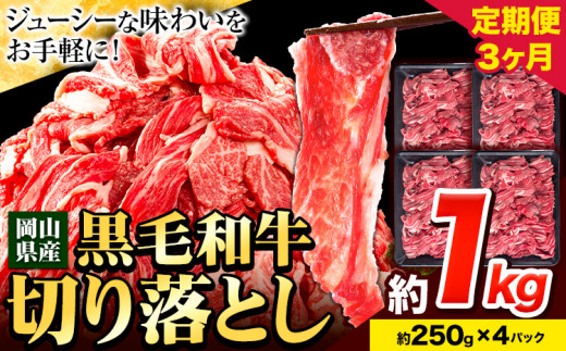 牛肉【3ヶ月定期便】 肉 黒毛和牛 切り落とし 訳あり 大容量 小分け 1kg 1パック 250g 定期便《お申込み月翌月から出荷開始》岡山県産 岡山県 笠岡市 お肉 にく カレー 牛丼 切り落し 切落し