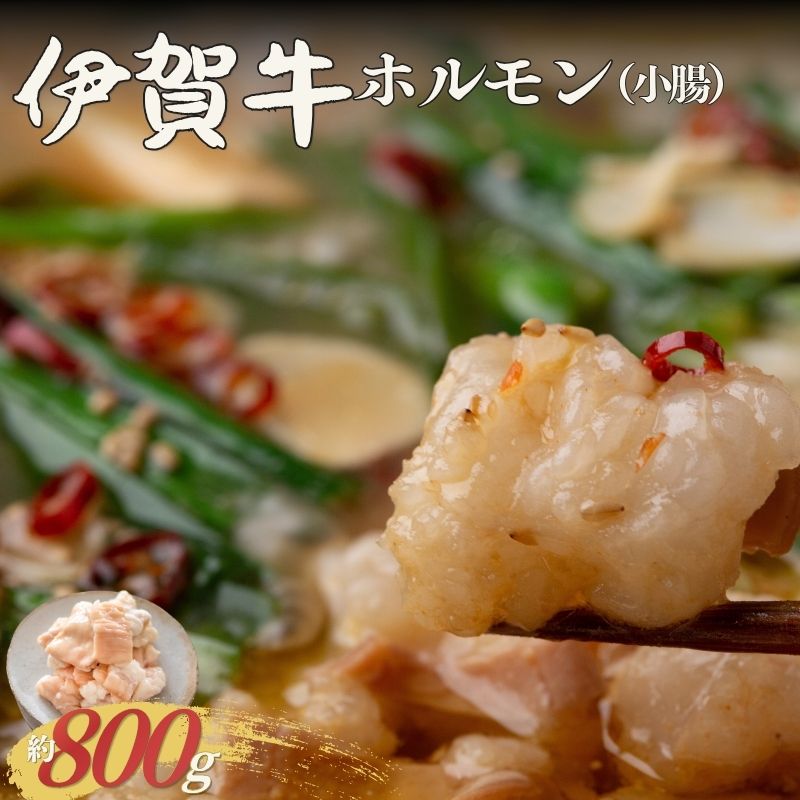 【ふるさと納税】 伊賀牛 ホルモン（小腸）約800g【cook0042】