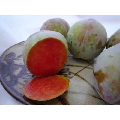 ふるさと納税 南アルプス市 すもも【ソルダム】10〜13玉入り×2箱　約3kg |  | 01