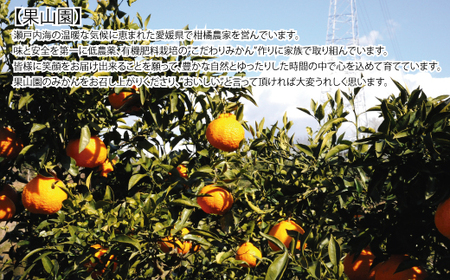 果山園の不知火 2Lサイズ 約7kg みかん 柑橘 フルーツ 旬 あまい 濃厚 産地直送