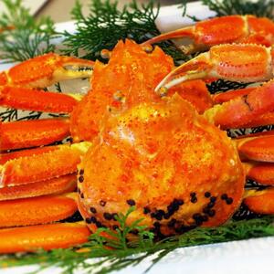 先行予約 松葉がに ボイル 2枚 年明け配送 着日指定不可 北海道、沖縄、一部離島への配送不可 松葉がに