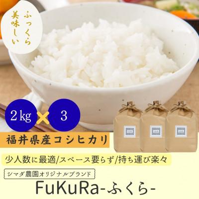 ふるさと納税 小浜市 農家直送　福井県産こしひかり FukuRa(ふくら)　精米 2kg×3袋 【計6kg】　美味しいお米