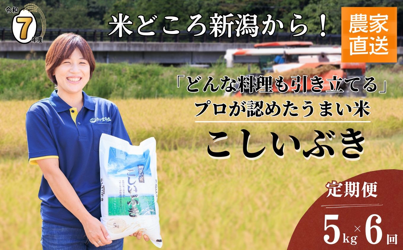 
            【選べる初回発送時期】令和7年産新米予約【定期便】プロが認めたうまい米『こしいぶき』5kg×6回 計30kg 新潟県糸魚川産 農家直送 2025年産 あぐ里能生【米 お米 こめ コメ ご飯 ライス ふるさと納税米 ブランド米 おすすめ ギフト 5キロ 精米 白米 6ヶ月 6か月 6回 毎月お届け 選べる配送月 先行予約】
          