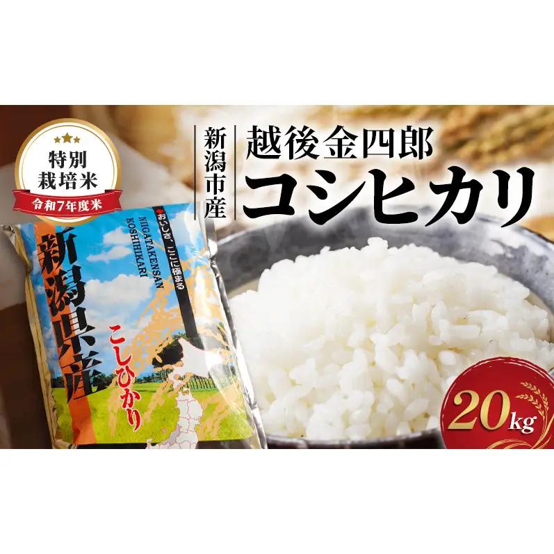 令和7年度米 新潟市産 越後金四郎コシヒカリ（特別栽培米）20kg