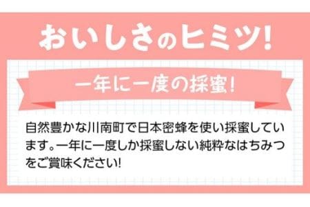 【数量限定】国産はちみつ（百花蜜）500g【蜂蜜 国産 はちみつ 九州産 宮崎県産 川南町産 ハチミツ】